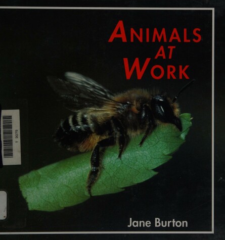 Book cover for Animals at Work, Burton 2-4l