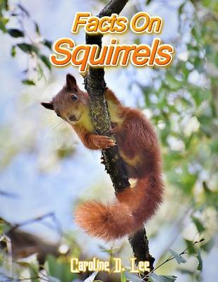 Book cover for Facts on squirrels