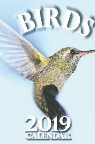 Cover of Birds 2019 Calendar (UK Edition)