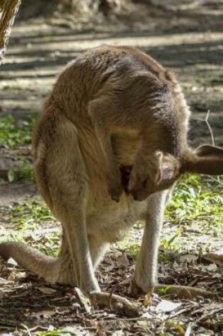 Cover of Kangaroo Checking on the Joey in Her Pouch Journal