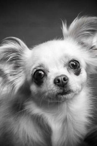 Cover of A Cute Profile of a Chihuahua in Black and White