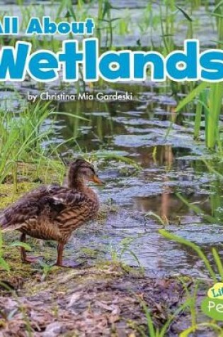 Cover of All about Wetlands