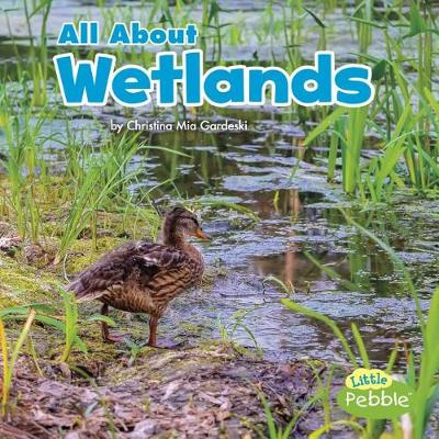 Book cover for All about Wetlands