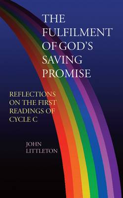 Book cover for The Fulfilment of God's Saving Promise