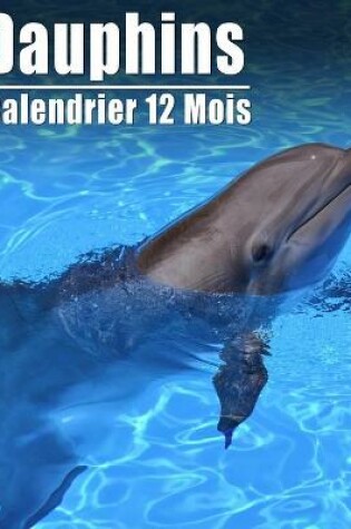 Cover of Calendrier 2021 Dauphins