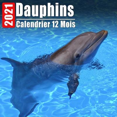 Book cover for Calendrier 2021 Dauphins