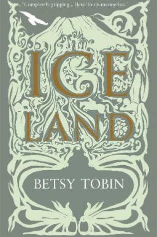 Cover of Ice Land