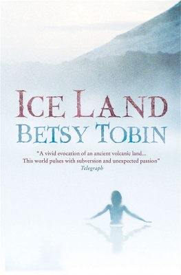 Book cover for Ice Land