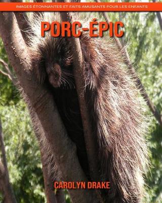 Book cover for Porc-épic