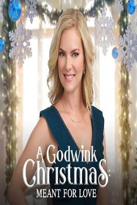 Book cover for A Godwink Christmas Meant For Love