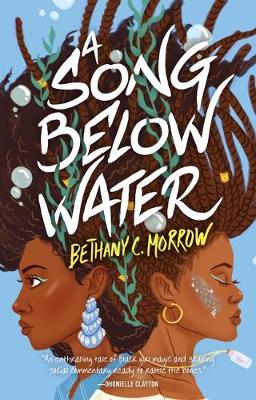 Book cover for A Song Below Water
