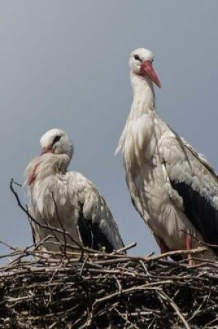 Cover of A Couple of Storks Checking You Out Journal