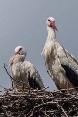 Book cover for A Couple of Storks Checking You Out Journal