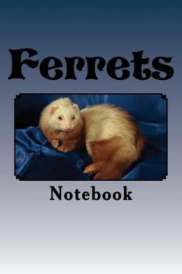 Book cover for Ferrets