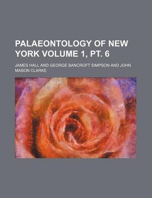 Book cover for Palaeontology of New York Volume 1, PT. 6