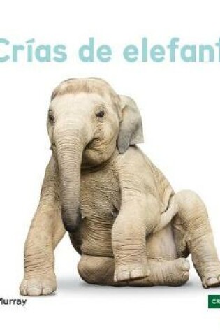 Cover of Crías de Elefantes (Elephant Calves) (Spanish Version)