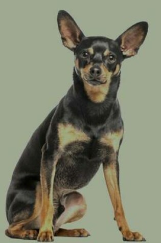 Cover of German Pinscher