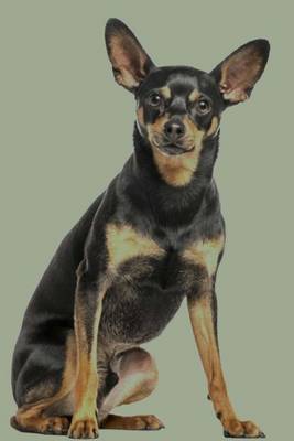 Book cover for German Pinscher