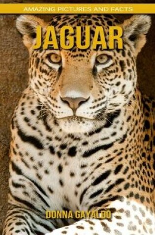 Cover of Jaguar