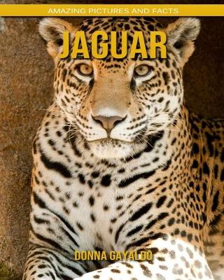 Book cover for Jaguar