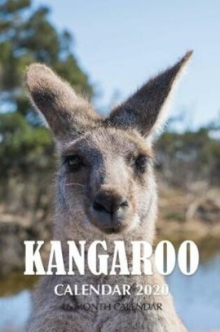 Cover of Kangaroo Calendar 2020