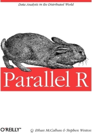 Cover of Parallel R