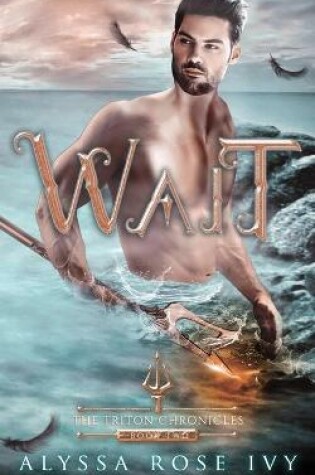 Cover of Wait