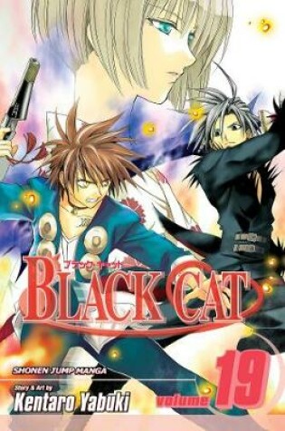 Cover of Black Cat, Vol. 19