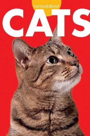 Cover of Curious about Cats