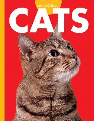 Book cover for Curious about Cats