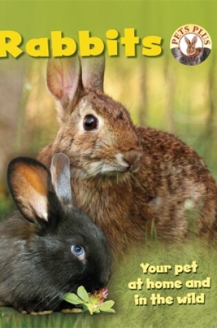 Cover of Rabbits