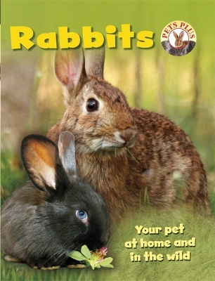 Cover of Rabbits