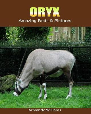 Book cover for Oryx