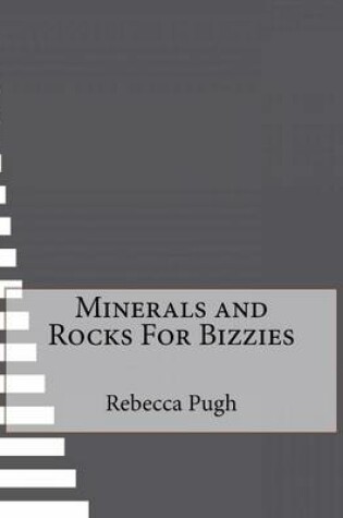 Cover of Minerals and Rocks For Bizzies
