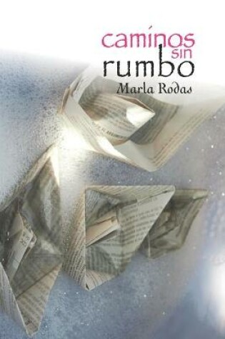Cover of caminos sin rumbo