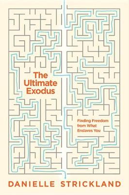 Book cover for The Ultimate Exodus