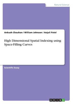 Book cover for High Dimensional Spatial Indexing using Space-Filling Curves