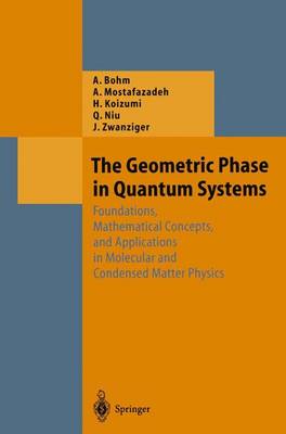 Cover of The Geometric Phase in Quantum Systems