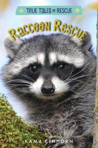 Cover of True Tales of Rescue: Racoon Rescue