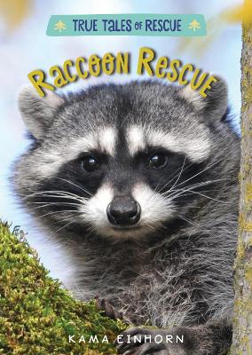 Book cover for True Tales of Rescue: Racoon Rescue
