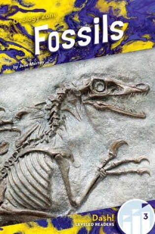 Cover of Fossils