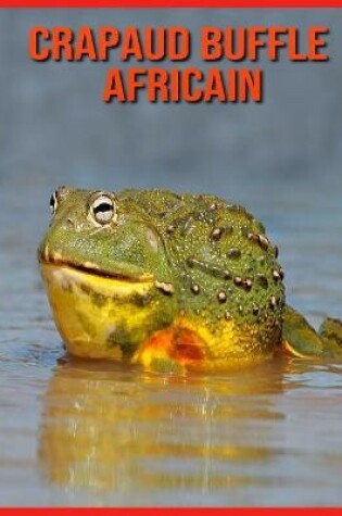 Cover of Crapaud Buffle Africain