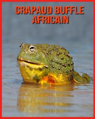 Book cover for Crapaud Buffle Africain