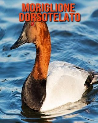 Book cover for Moriglione dorsotelato