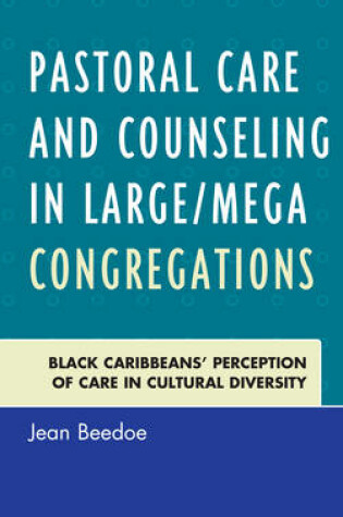 Cover of Pastoral Care and Counseling in Large/Mega Congregations