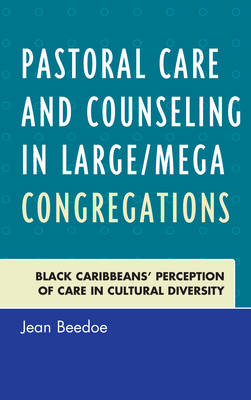 Cover of Pastoral Care and Counseling in Large/Mega Congregations