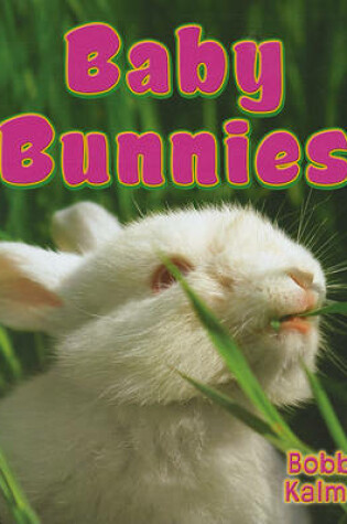 Cover of Baby Bunnies