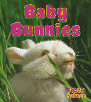 Book cover for Baby Bunnies