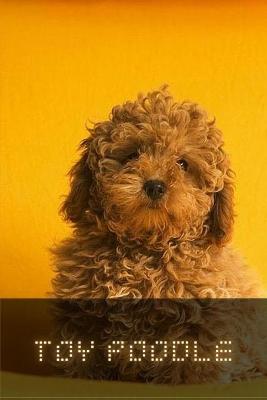 Book cover for Toy Poodle