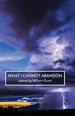 Book cover for What I Cannot Abandon